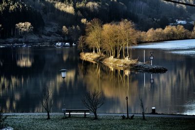 Reflection of trees in water