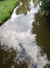 Trees on landscape against cloudy sky