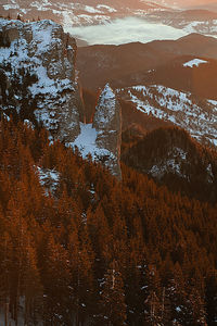 High angle view of snow covered land