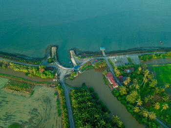 High angle view of trees by sea