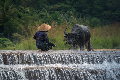 Rear view of man with horse in river