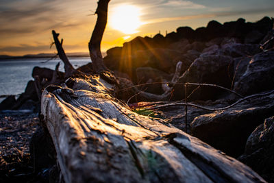 Close-up of rock on land against sky during sunset