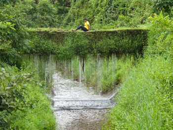 Rear view of woman standing in water