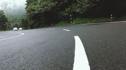 Road along trees