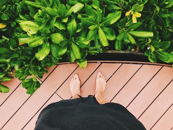 Low section of person standing by plants