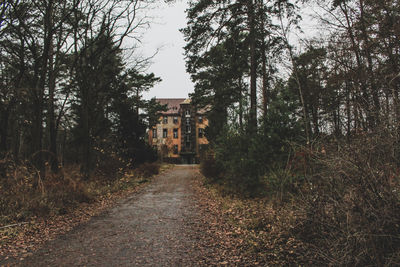 Footpath amidst trees and houses in forest