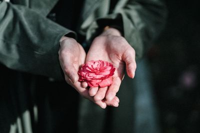 Close-up of hand holding red rose