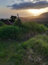 Scenic view of field against sky during sunset