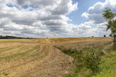 Scenic view of field against sky