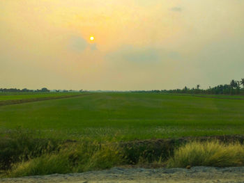 Scenic view of field against sky during sunset