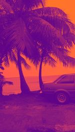 Palm trees on beach against sky at sunset