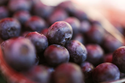 Full frame shot of berries