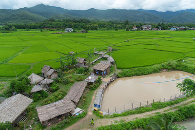 High angle view of agricultural field