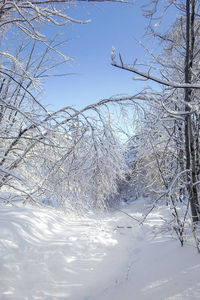 Close-up of snow against sky