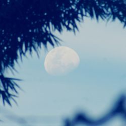 Low angle view of moon in sky at night