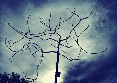 Low angle view of bare tree against sky