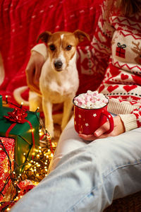 Midsection of woman holding christmas tree