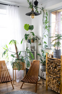 Potted plant on table at home