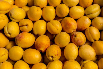 Full frame shot of oranges