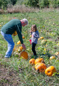 Grandpa and girl picking out pumpkins for halloween