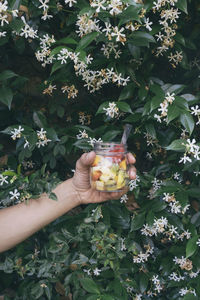 Cropped image of hand holding fruits in jar against flowering plants