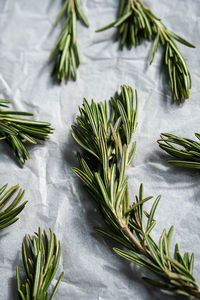 Rosemary sprigs, close up. twigs of rosmarinus officinalis.