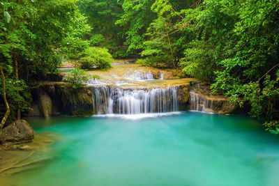 Scenic view of waterfall in forest