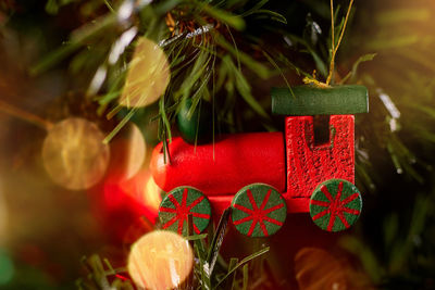 Close-up of christmas tree