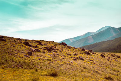 Scenic view of landscape against sky