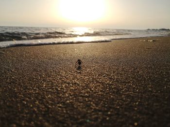 Scenic view of sea against sunset sky