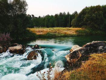 River flowing through rocks