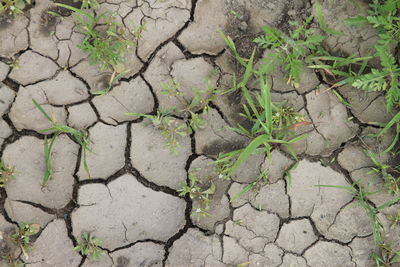 Full frame shot of cracked land