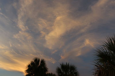 Low angle view of palm trees against cloudy sky