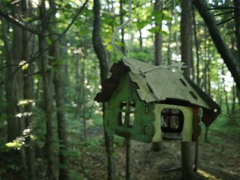 Close-up of birdhouse on tree trunk