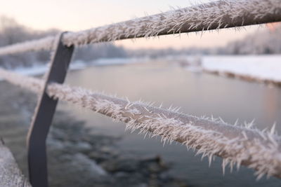 Close-up of frozen wooden post during winter