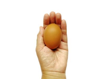 Close-up of hand holding eggs against white background