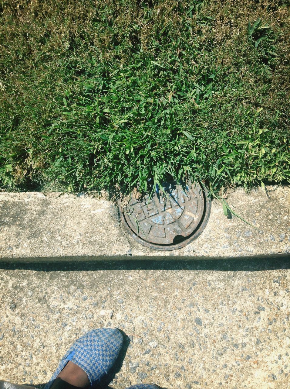 low section, high angle view, shoe, person, personal perspective, plant, part of, day, outdoors, bicycle, growth, sunlight, footwear, green color, human foot, nature, unrecognizable person