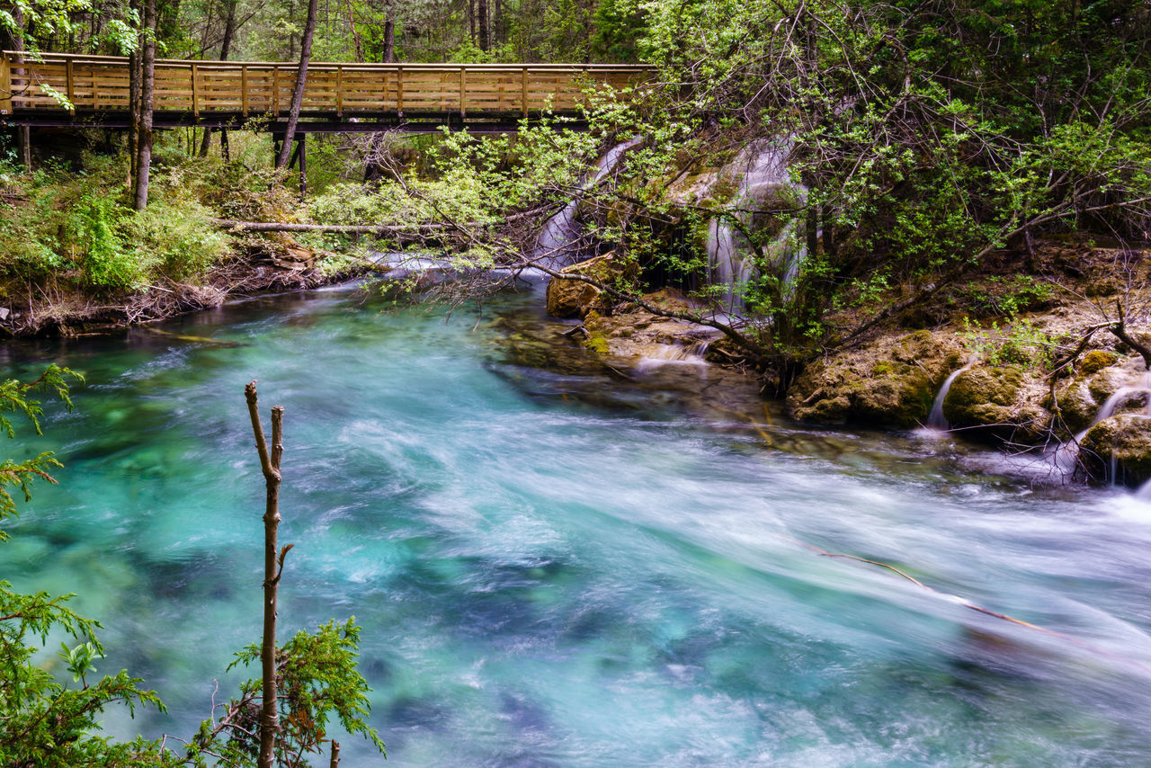 VIEW OF WATERFALL IN FOREST