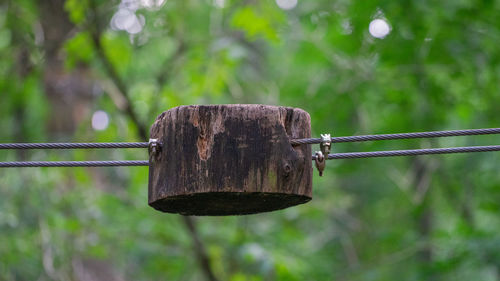 Close-up of wooden post hanging on metal fence