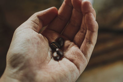 Close-up of hand holding leaf