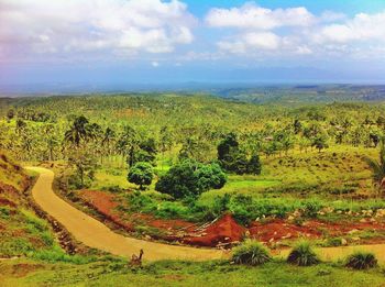 Scenic view of field against cloudy sky