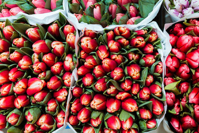 Full frame shot of fruits for sale at market stall