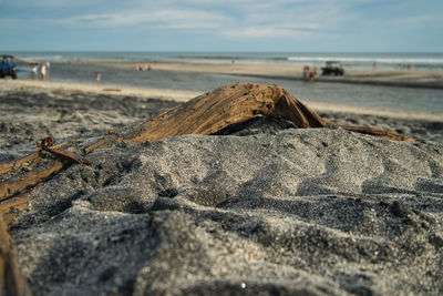 Surface level of sand on beach against sky