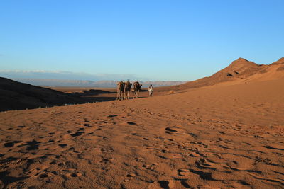 View of a desert