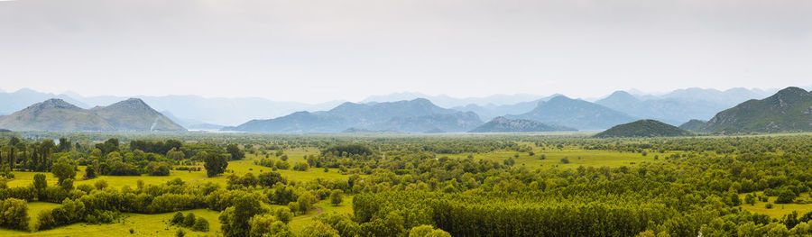 Scenic view of field against clear sky