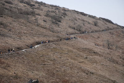 Group of people on landscape against sky