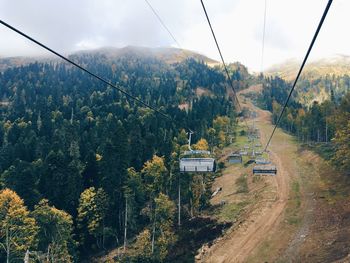 Overhead cable cars and trees against sky