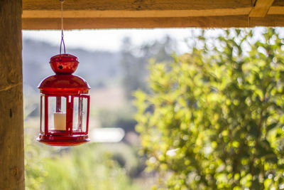 Close-up of red lantern hanging on tree