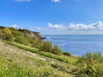 Robin hood's bay