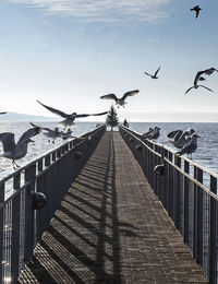 View of pier on sea